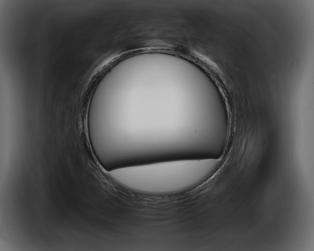 X0000086721407200704130719