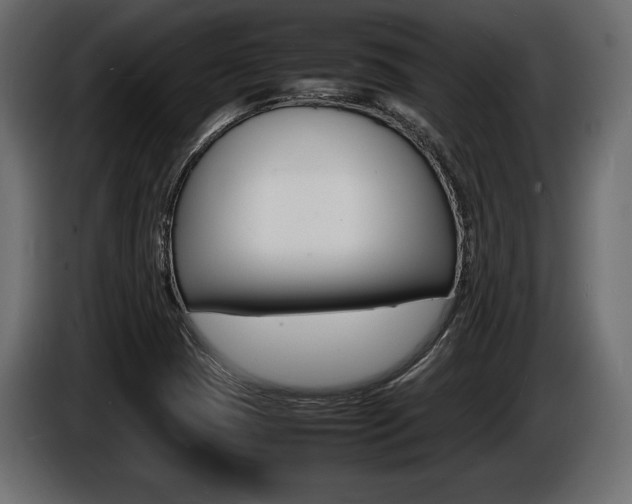 X0000086721409200704130719