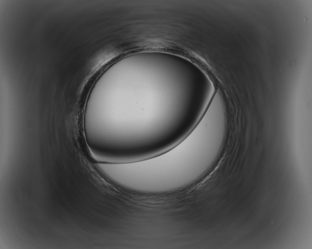 X0000086721410200704130719