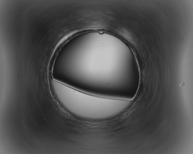 X0000086721412200704130719