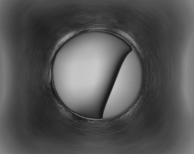 X0000086721413200704130719