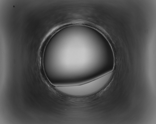 X0000086721414200704130719