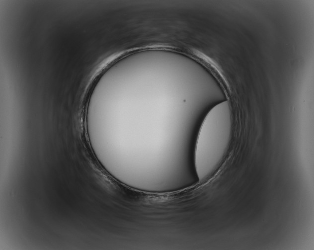 X0000086721415200704130719