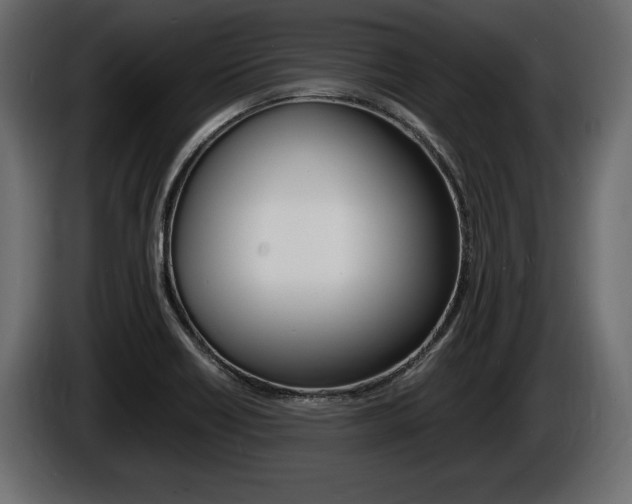 X0000086721418200704130719