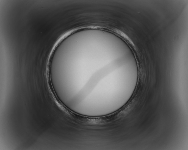 X0000086721421200704130719