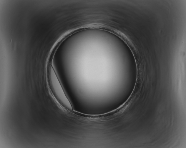 X0000086721422200704130719