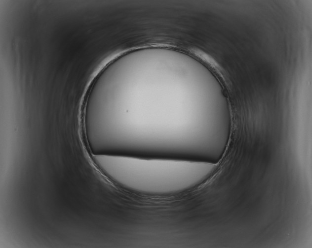 X0000086721423200704130719