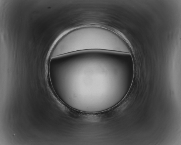 X0000086721424200704130719