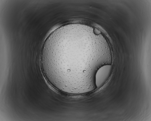 X0000086721425200704130719