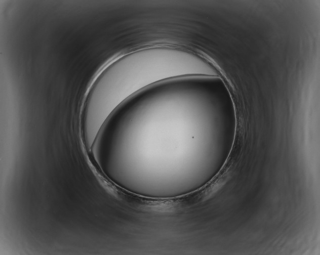 X0000086721426200704130719