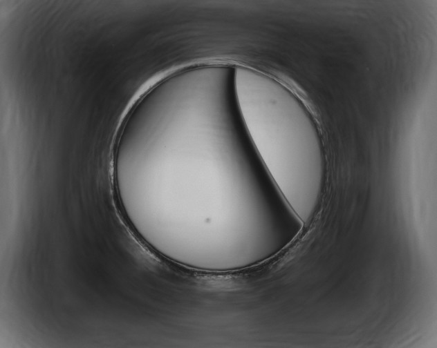 X0000086721428200704130719