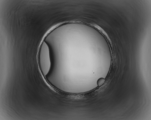 X0000086721429200704130719