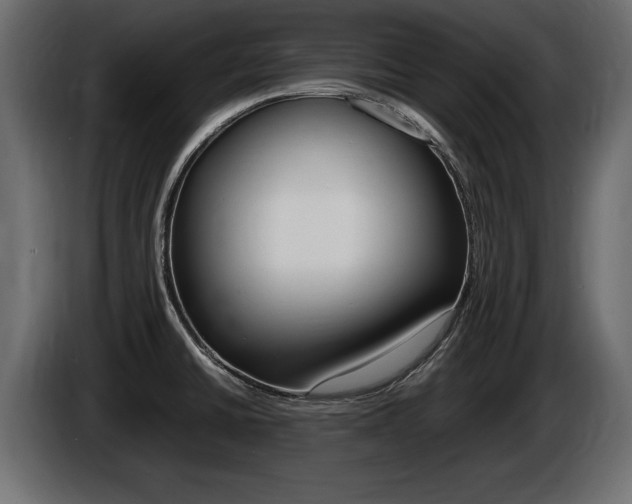X0000086721430200704130719