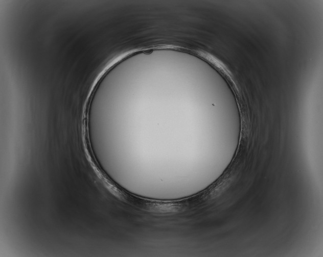 X0000086721431200704130719