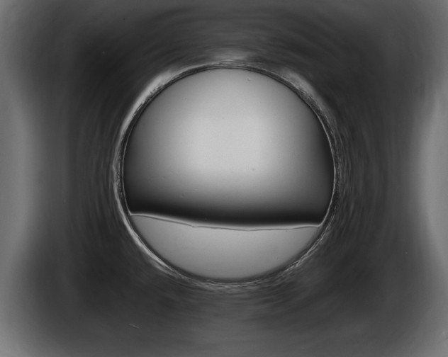 X0000086721432200704130719