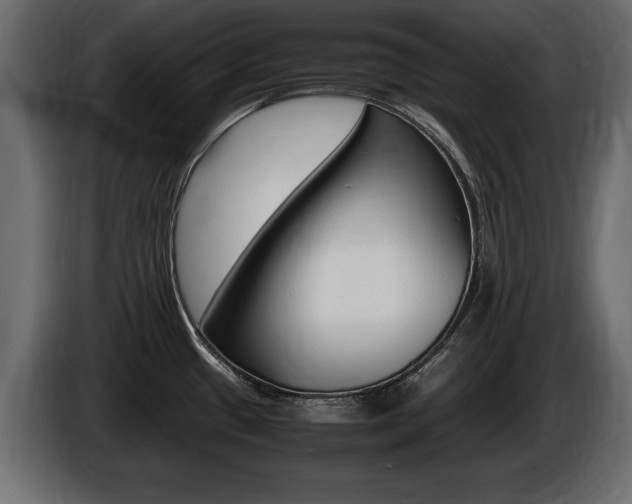 X0000086721433200704130720