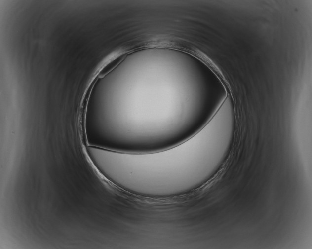 X0000086721434200704130720