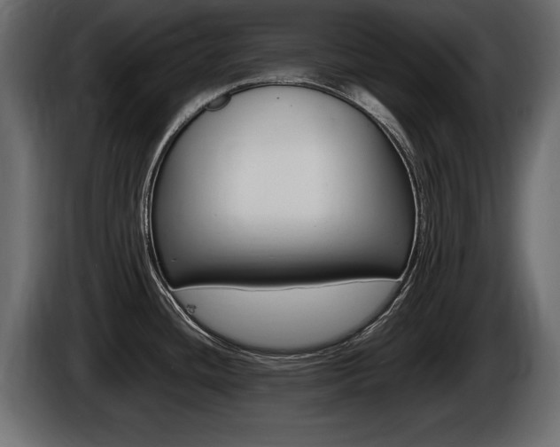 X0000086721436200704130720