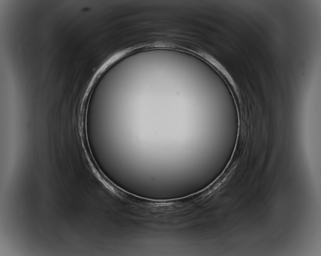 X0000086721437200704130720