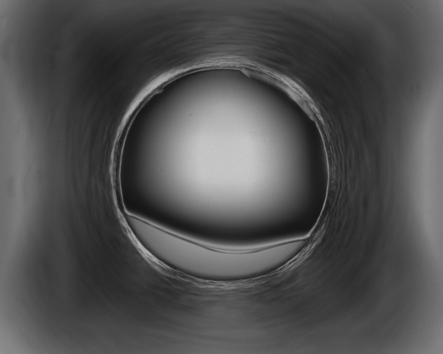 X0000086721438200704130720