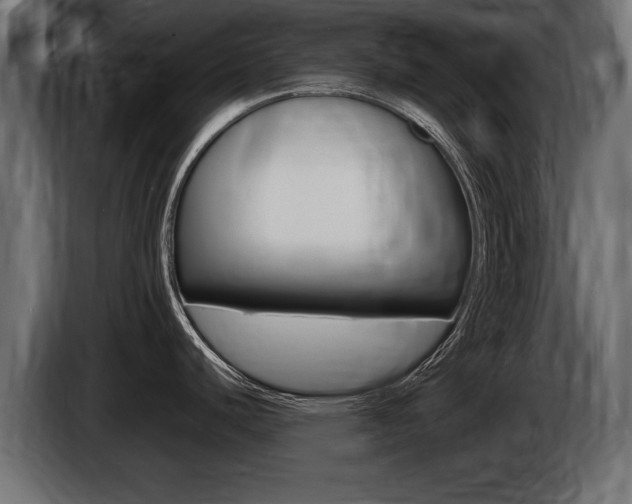 X0000086721440200704130720