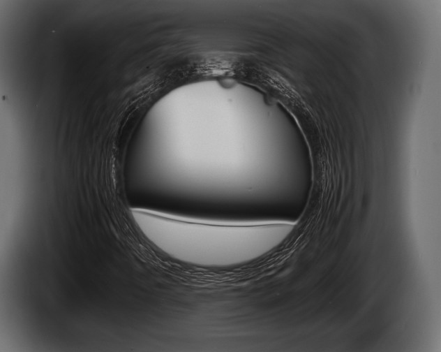X0000086721442200704130719