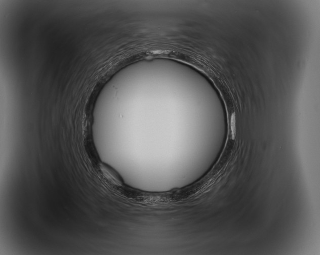 X0000086721443200704130719