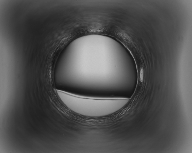 X0000086721444200704130719