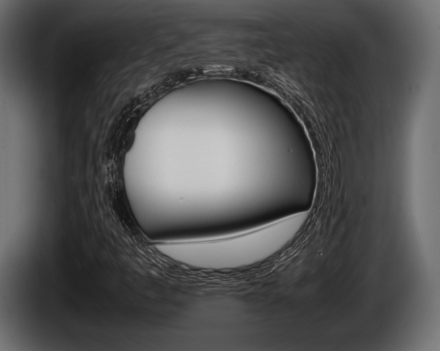 X0000086721445200704130719