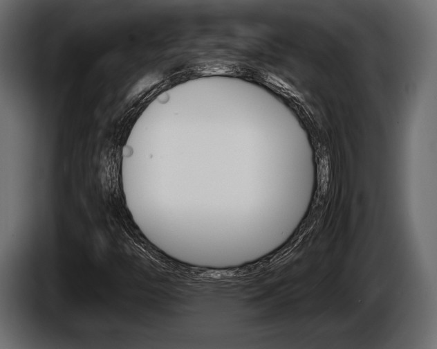 X0000086721446200704130719