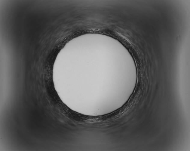 X0000086721447200704130719