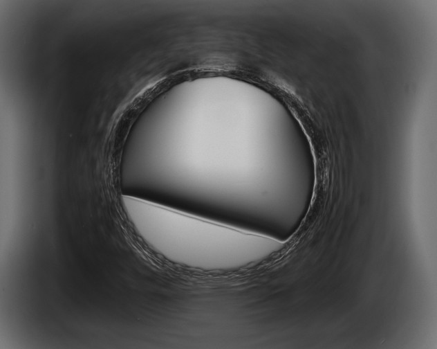 X0000086721448200704130719