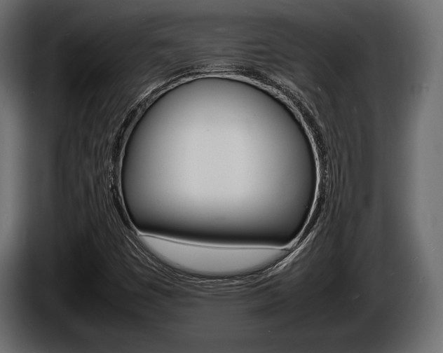 X0000086721449200704130719