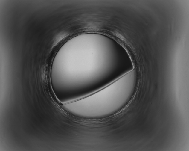 X0000086721450200704130719