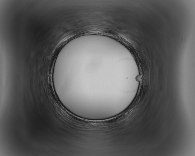 X0000086721451200704130719