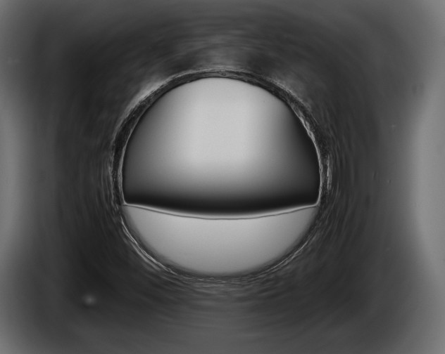 X0000086721452200704130719