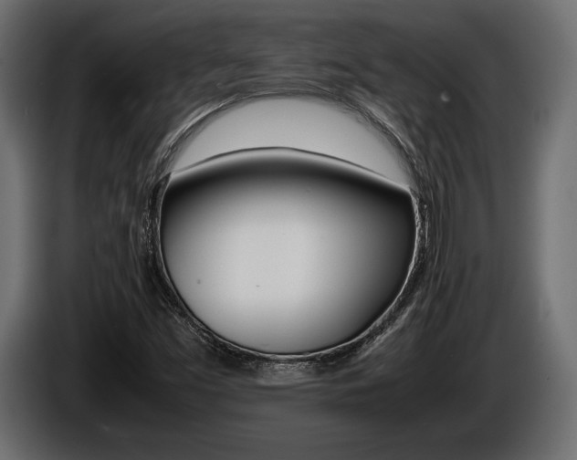 X0000086721453200704130719