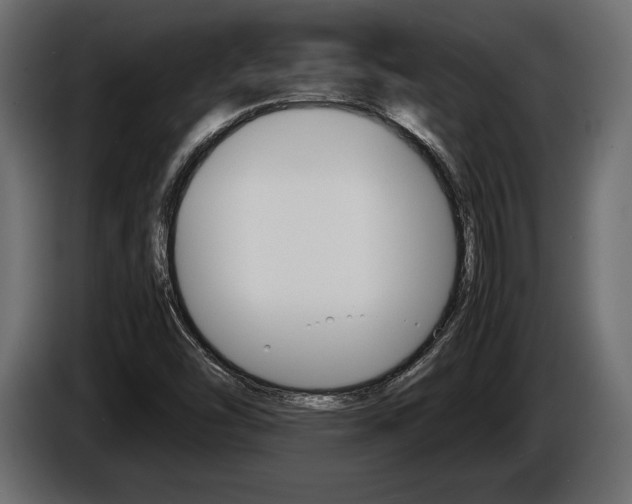 X0000086721454200704130719