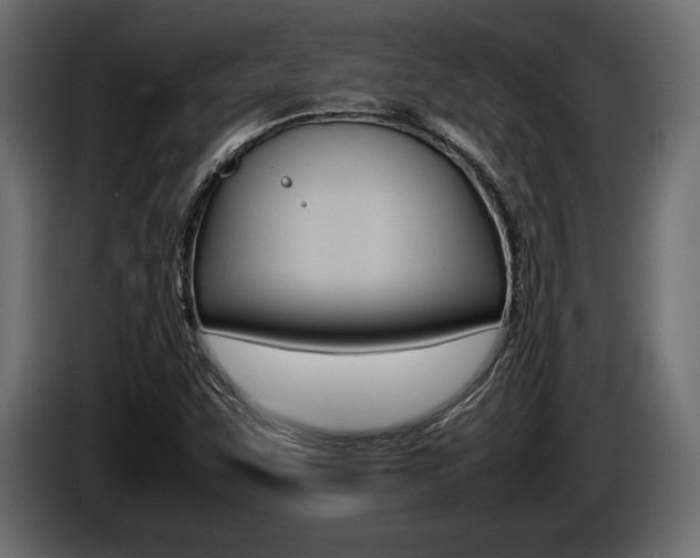 X0000086721455200704130719