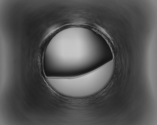 X0000086721456200704130719