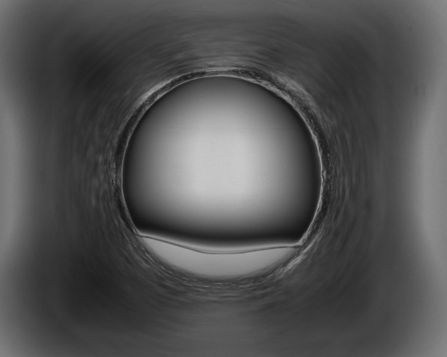 X0000086721457200704130719