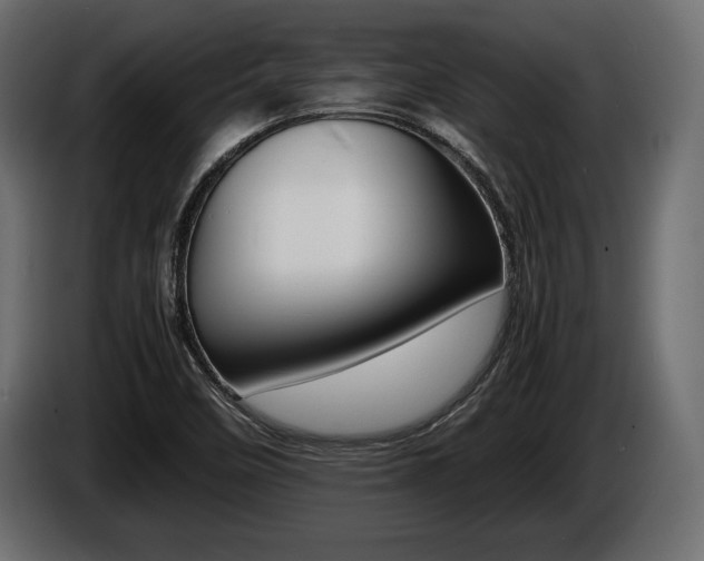 X0000086721458200704130719