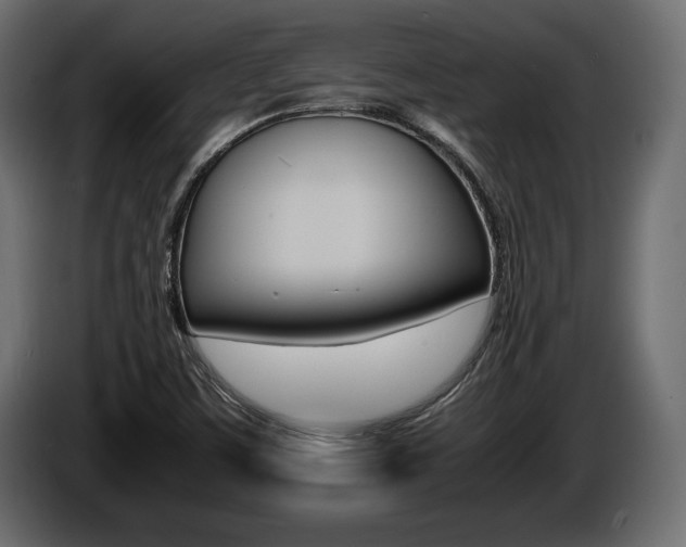 X0000086721459200704130719