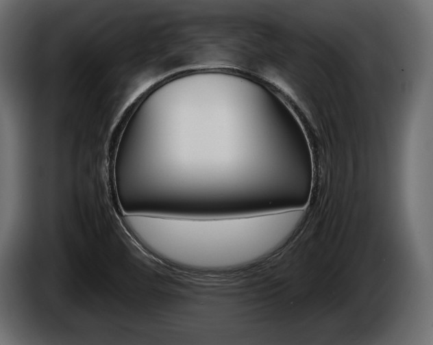 X0000086721460200704130719