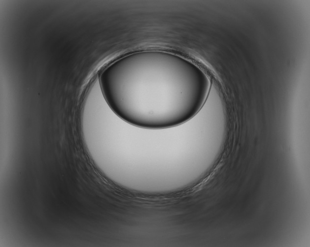 X0000086721461200704130719