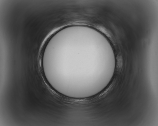 X0000086721462200704130719