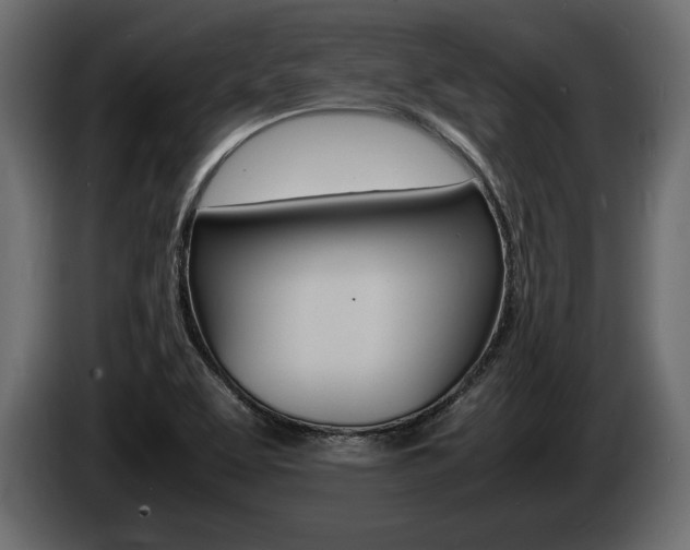 X0000086721463200704130719