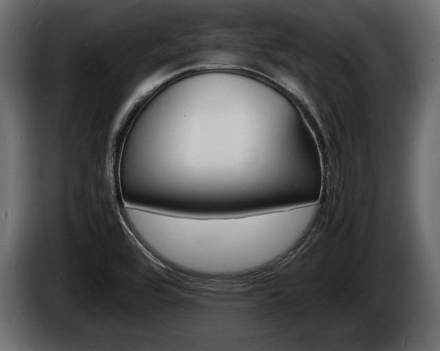 X0000086721464200704130719