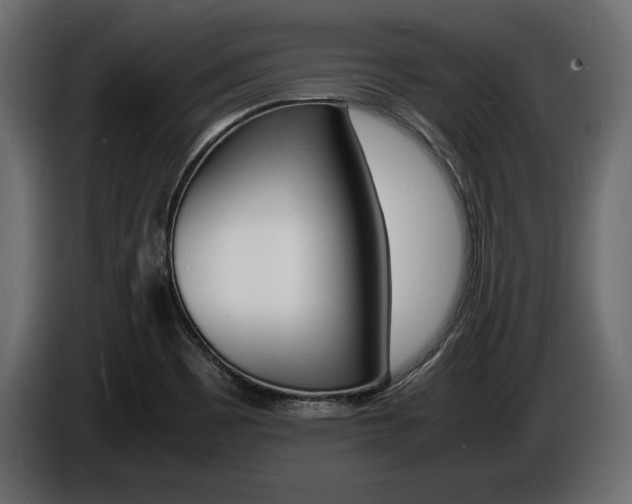 X0000086721465200704130719