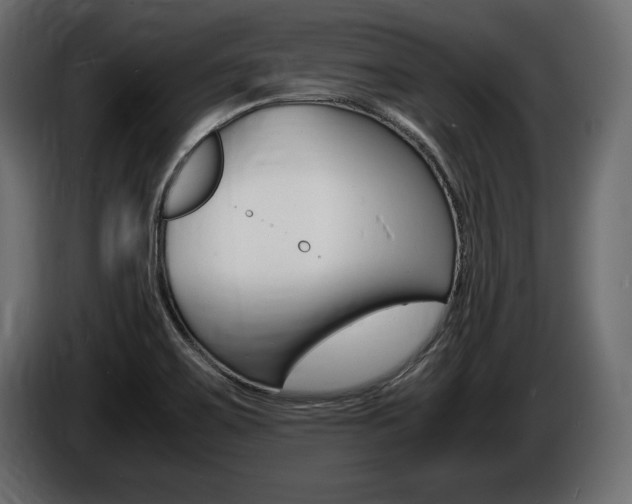 X0000086721467200704130719